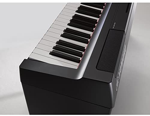 Piano numérique Clavier de piano électrique pour débutant avec 88 touches  pondérées Piano électrique portable de taille normale avec support, pédale  de maintien et alimentation (couleur : noir) : : Instruments de