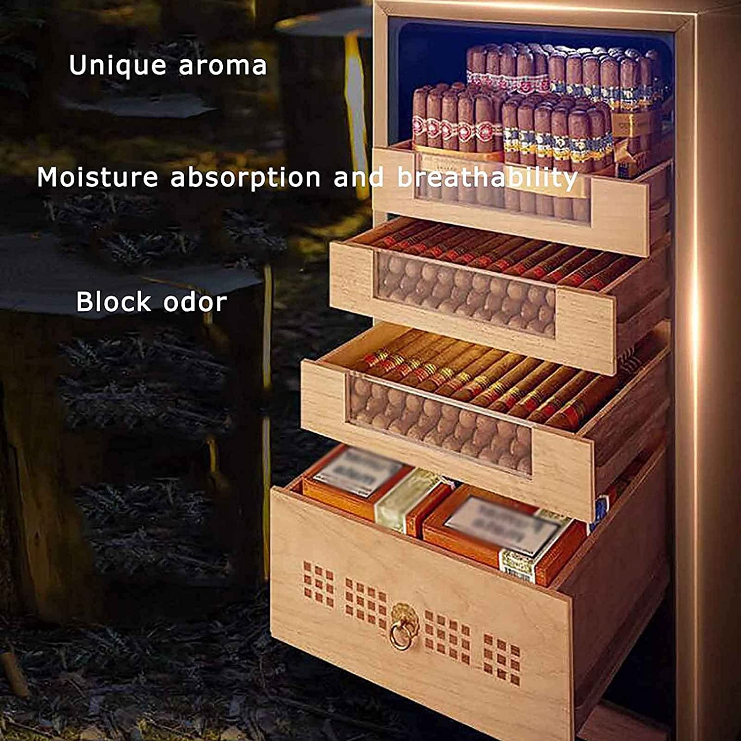 Cave à cigares Vittoria électronique